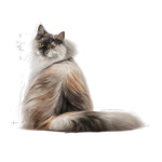 Load image into Gallery viewer, Royal Canin Hair &amp; Skin