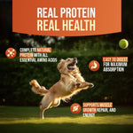 Load image into Gallery viewer, First Bark Hearty Chicken with Cod Dog Treats (70g)