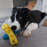 Load image into Gallery viewer, Holy Paws Fun 'n' Play 4-Leg Jack – Interactive Treat Dispensing Dog Toy