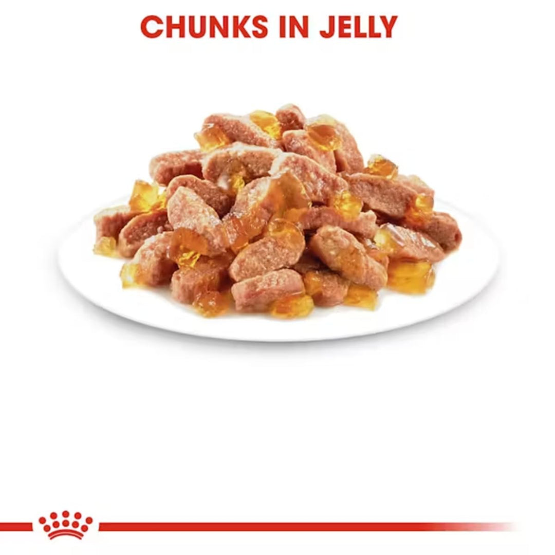 Royal Canin Kitten Gravy