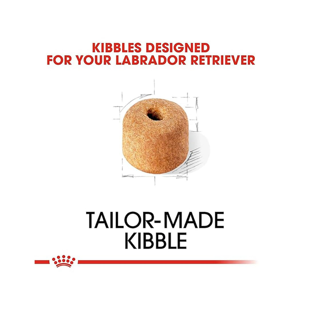 Royal Canin Labrador Retriver Adult