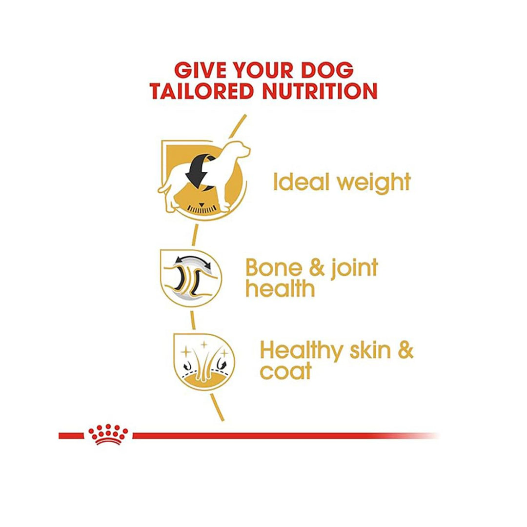 Royal Canin Labrador Retriver Adult