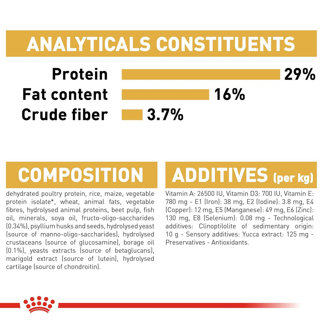 Royal Canin Labrador Retriver Puppy