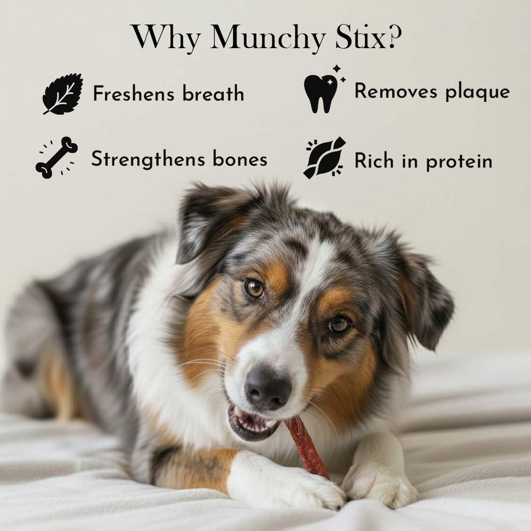 Munchy Sticks Lamb