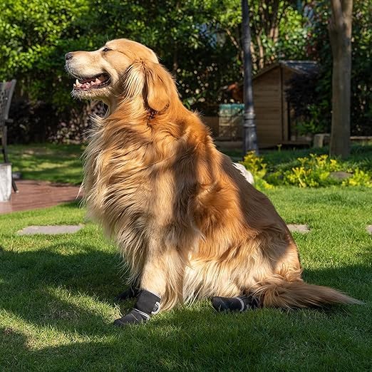 Holy Paws Pod Long Dog Shoes | Waterproof Non-Slip Winter & Summer Boots