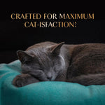 Load image into Gallery viewer, Sheba Maguro Selection Tuna Flavour and Tuna Prawn Flavours 48gm