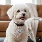 Load image into Gallery viewer, Smarty Pet Ting Ting Bell - XL Marble Print | Durable Dog &amp; Cat Collar Bell