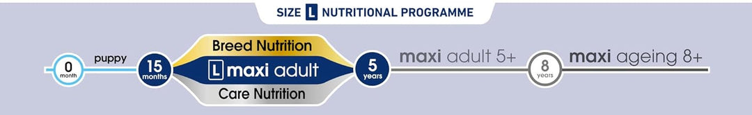 Royal Canin Maxi Adult