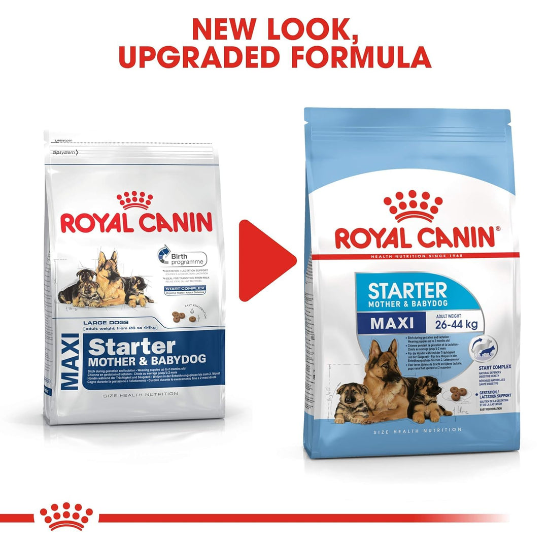 Royal Canin Maxi Starter