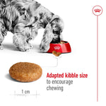 Load image into Gallery viewer, Royal Canin Medium Adult