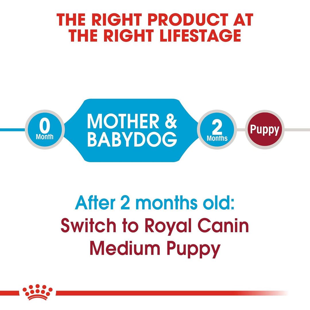 Royal Canin Medium Starter