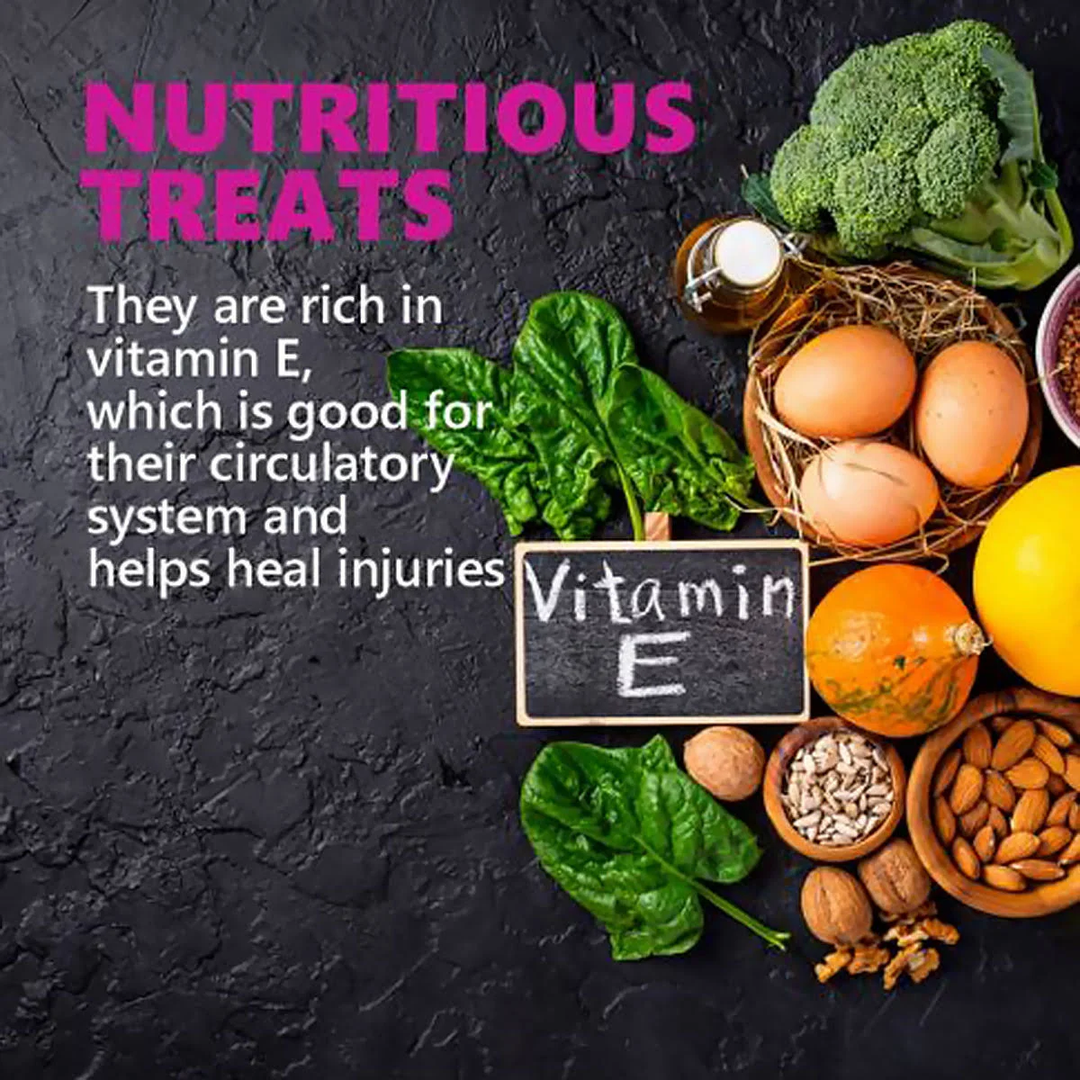 JerHigh Mini Burger Dog Treats – 100gm | Tasty Chicken Dog Snack | High Protein Training Treats for Dogs