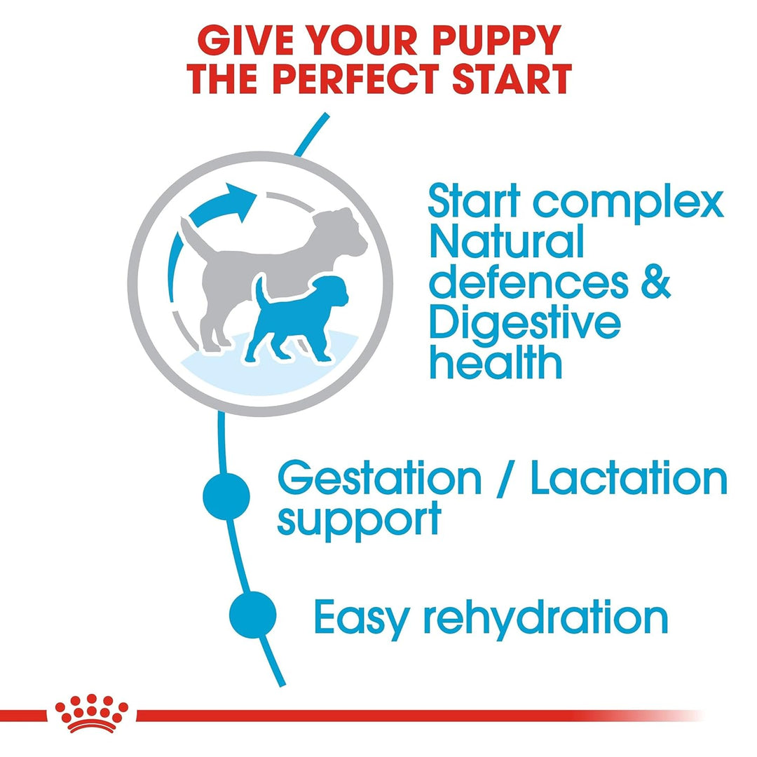 Royal Canin Mini Starter