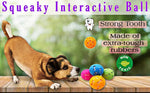 Load image into Gallery viewer, SmartyPet Squeaky Interactive Ball-in-Ball Dog Toy