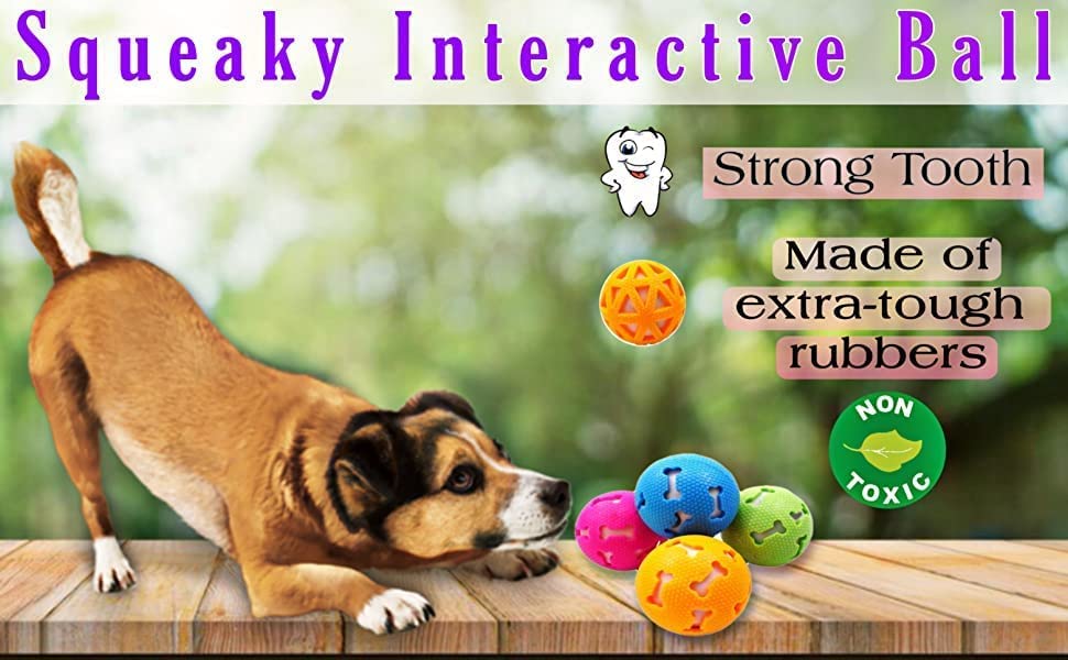 SmartyPet Squeaky Interactive Ball-in-Ball Dog Toy