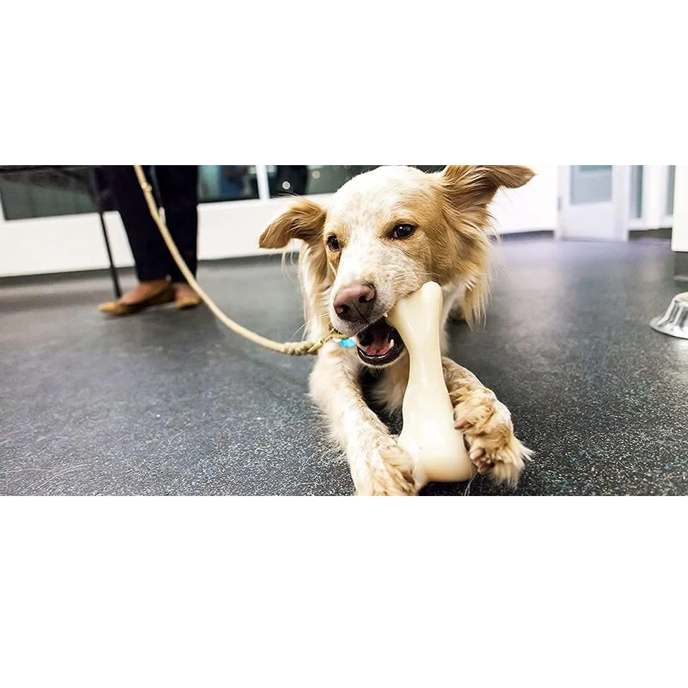 Nylon Durable Non-Toxic Dog Bone Toy - Large (22cm)