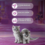 Load image into Gallery viewer, Whiskas Kitten Dry Cat Food - Ocean Fish Flavour