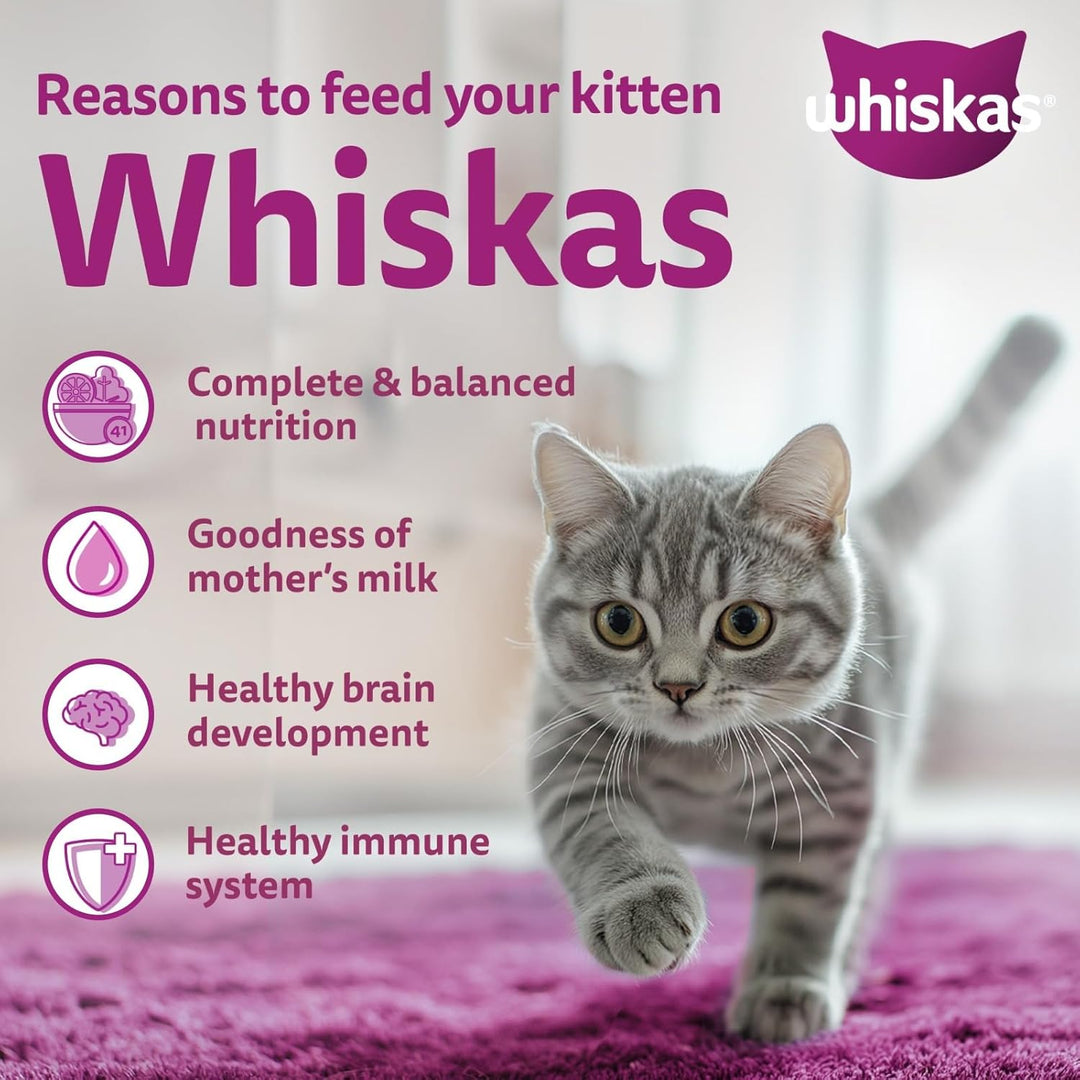 Whiskas Kitten Dry Cat Food - Ocean Fish Flavour