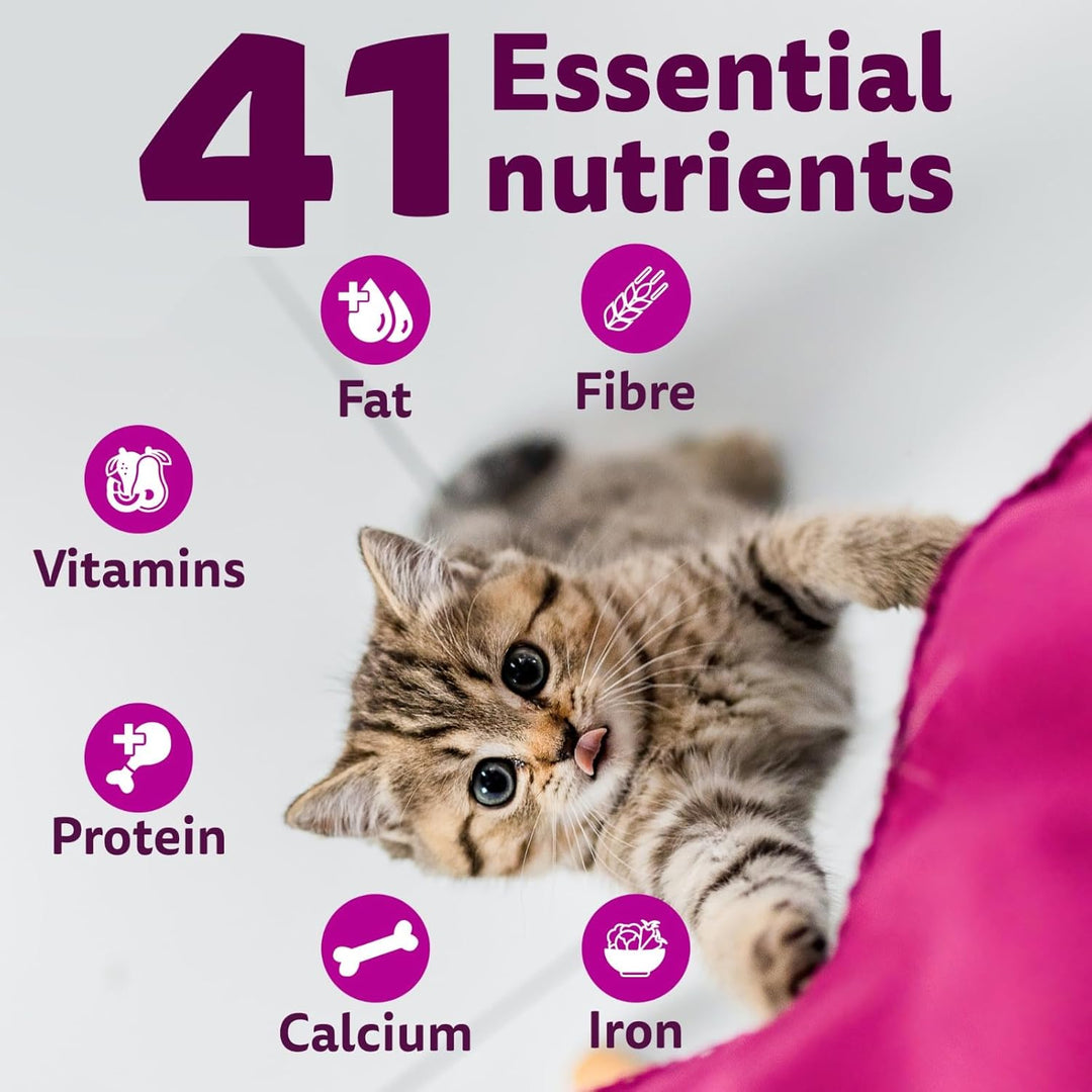 Whiskas Kitten Dry Cat Food - Ocean Fish Flavour