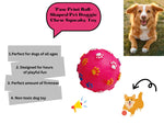 Load image into Gallery viewer, Sq. VT. 1010 Ball with Paw Mark Small