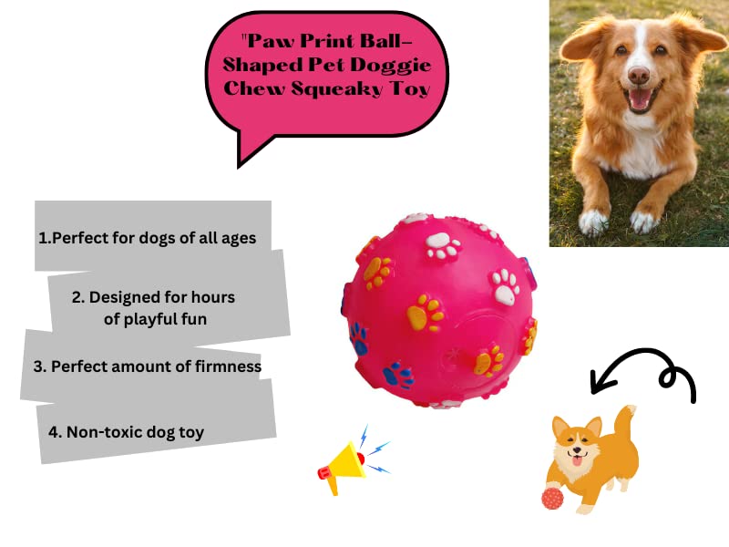 Sq. VT. 1010 Ball with Paw Mark Small