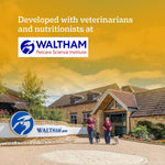 Load image into Gallery viewer, Pedigree Adult Gravy Chicken Chunks in Gravy 70gm