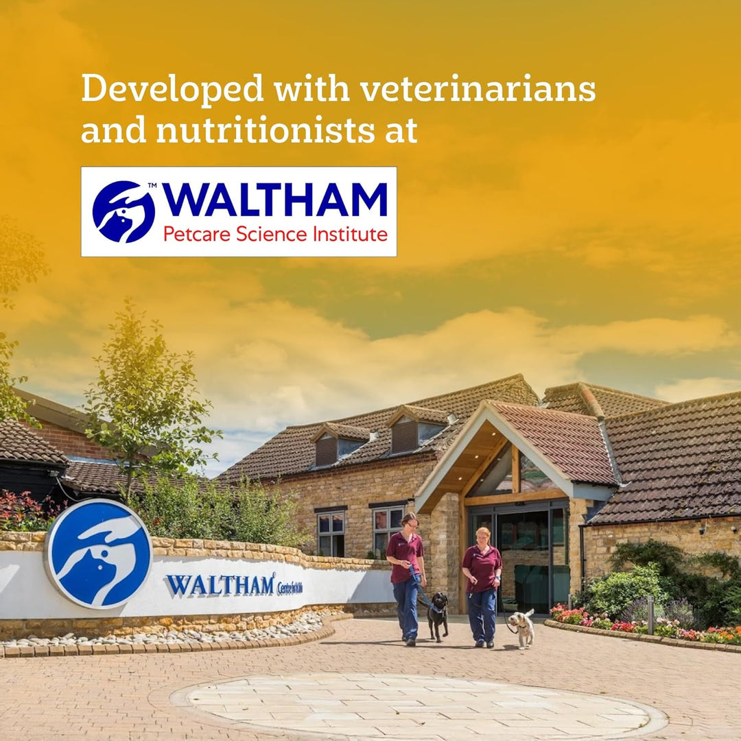 Pedigree Adult Gravy Chicken Chunks in Gravy 70gm