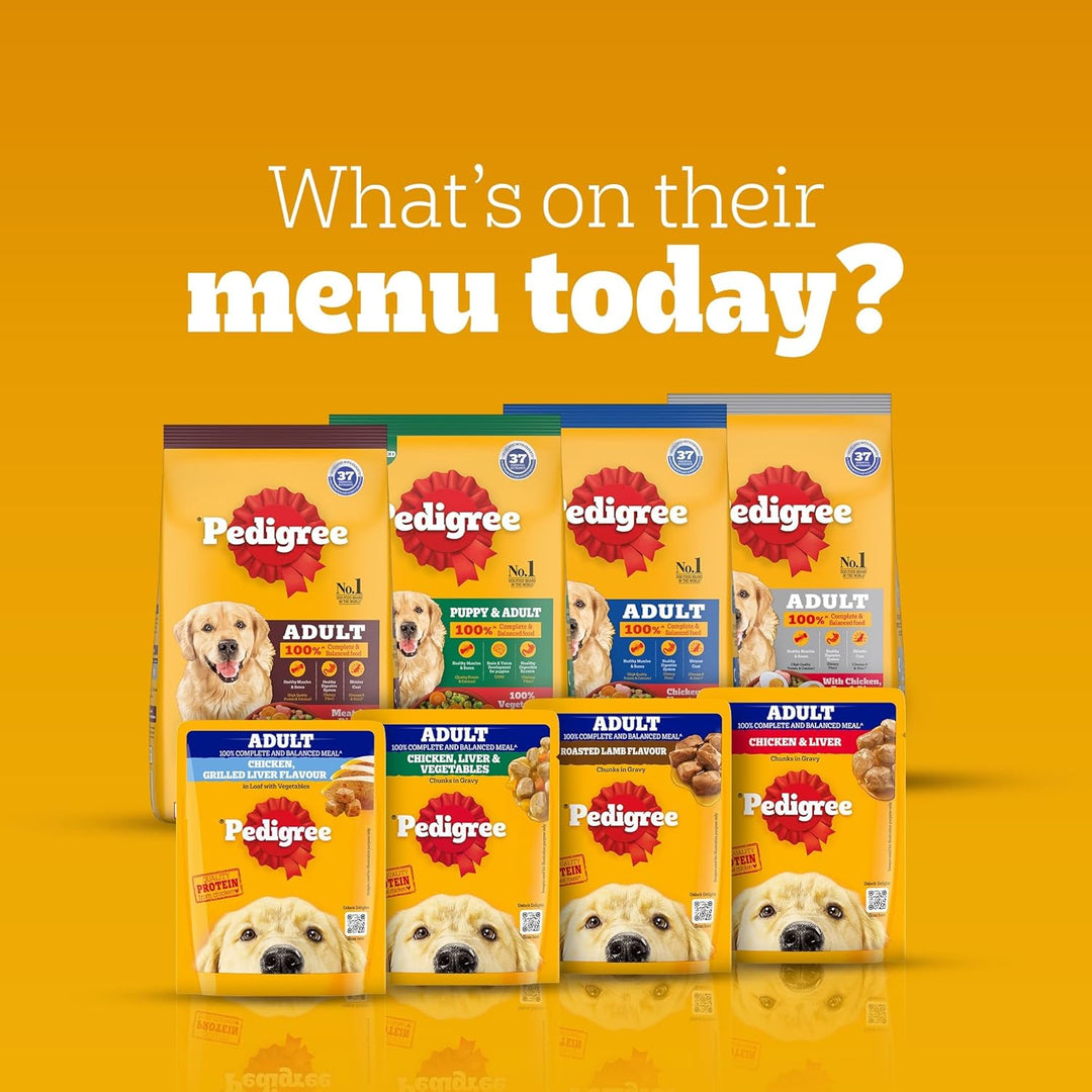 Pedigree Adult Gravy Chicken Chunks in Gravy 70gm