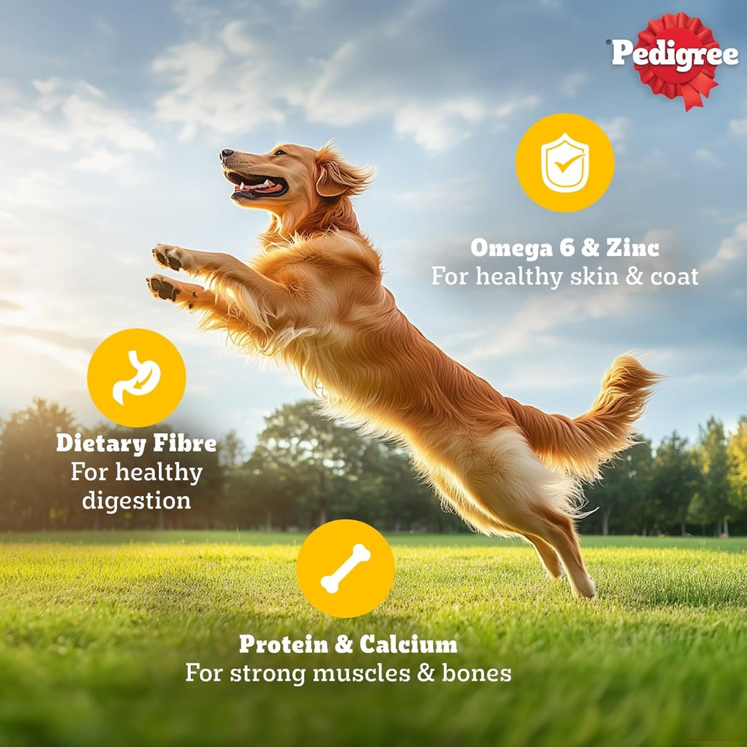 Pedigree Adult Gravy Chicken Chunks in Gravy 70gm