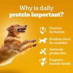 Load image into Gallery viewer, Pedigree Adult Gravy Chicken Chunks in Gravy 70gm