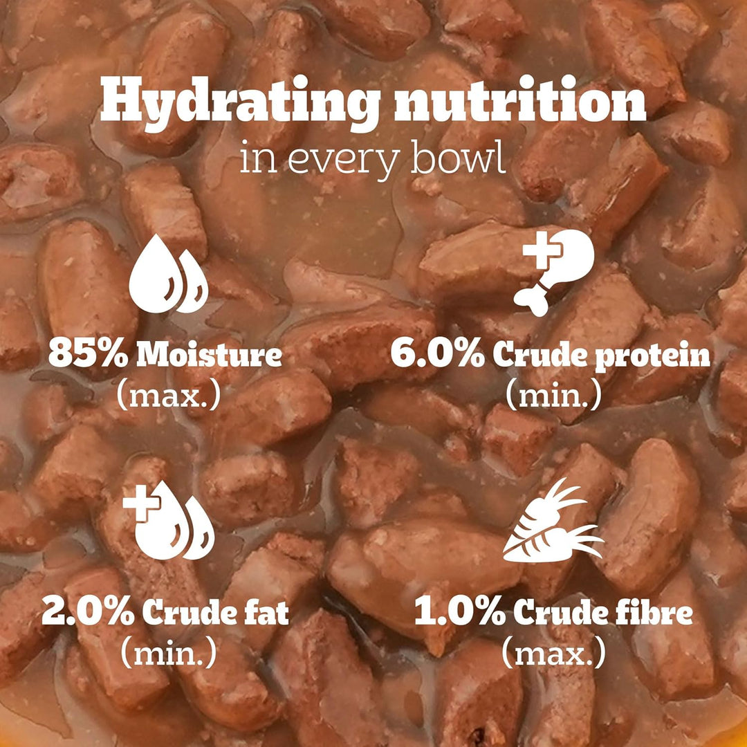 Pedigree Adult Gravy Chicken Chunks in Gravy 70gm