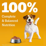 Load image into Gallery viewer, Pedigree Puppy Chicken &amp; Liver Gravy 130gm