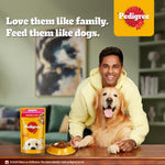 Load image into Gallery viewer, Pedigree Puppy Chicken &amp; Liver Gravy 130gm