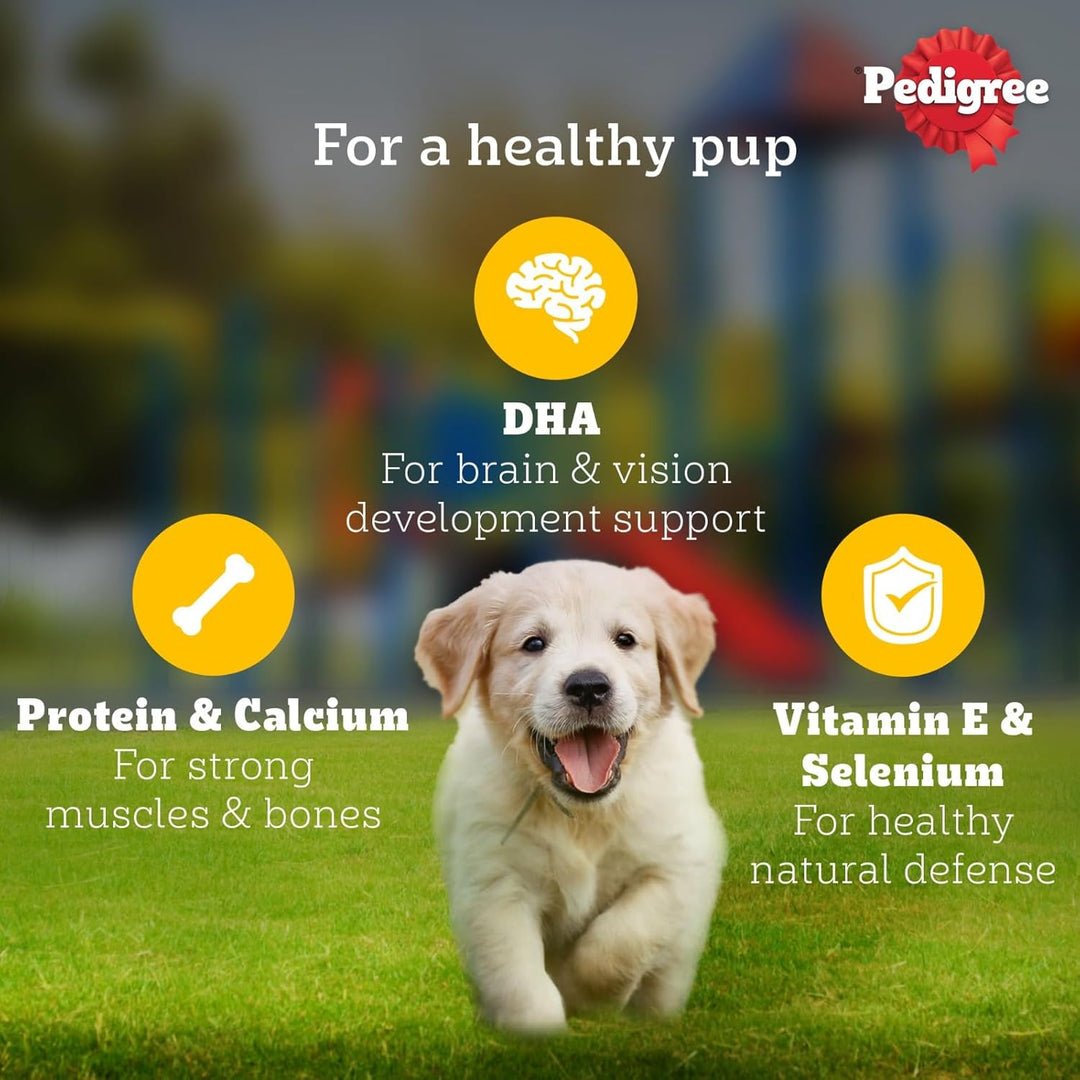 Pedigree Puppy Chicken & Liver Gravy 130gm