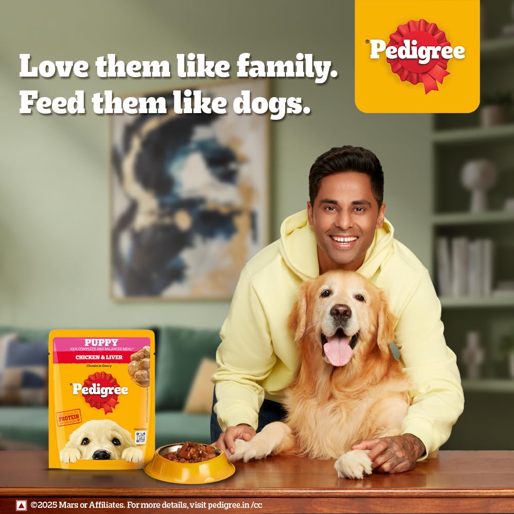 Pedigree Puppy Gravy Chicken Chunks in Gravy