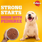 Load image into Gallery viewer, Pedigree Puppy Gravy Chicken Chunks in Gravy