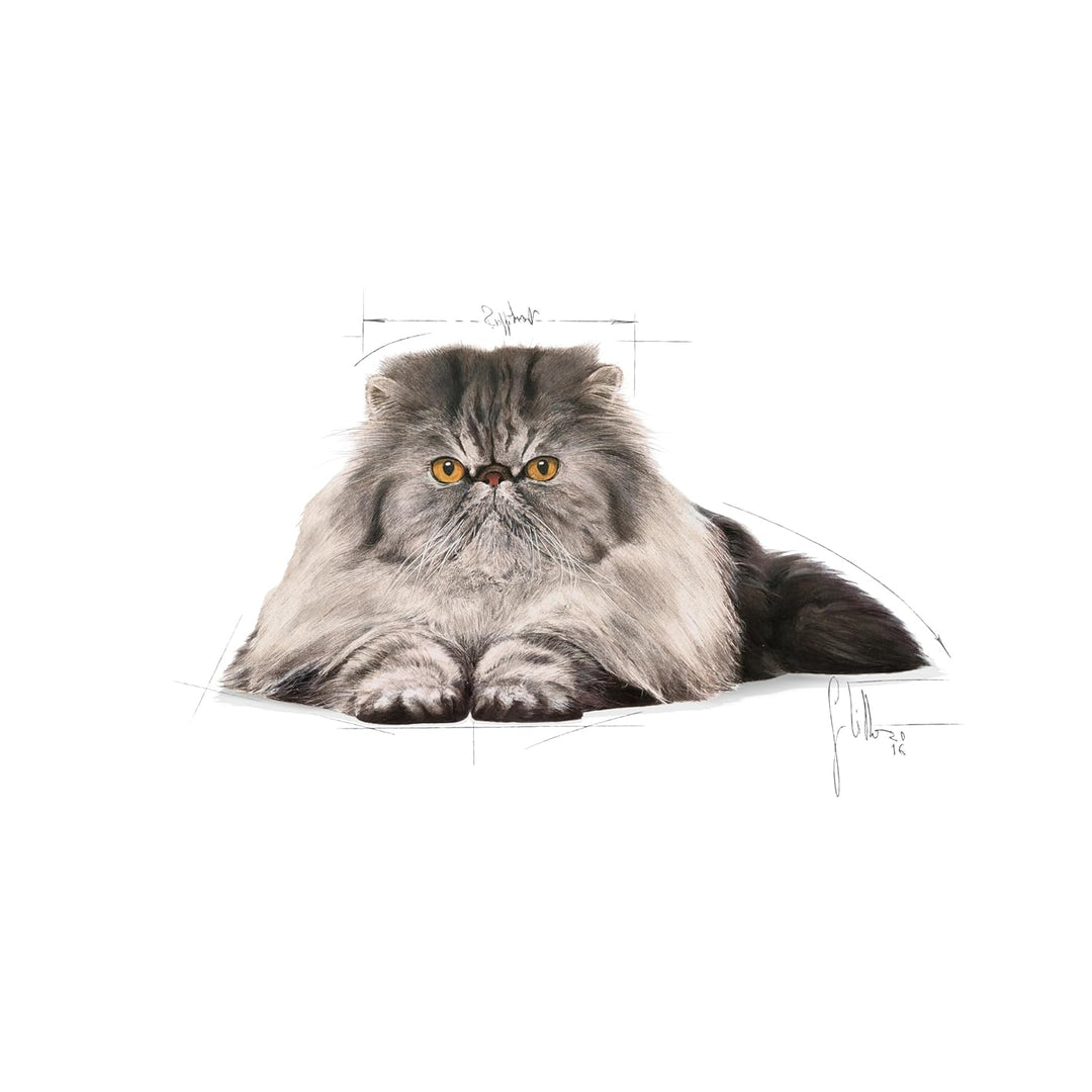 Royal Canin Persian Adult