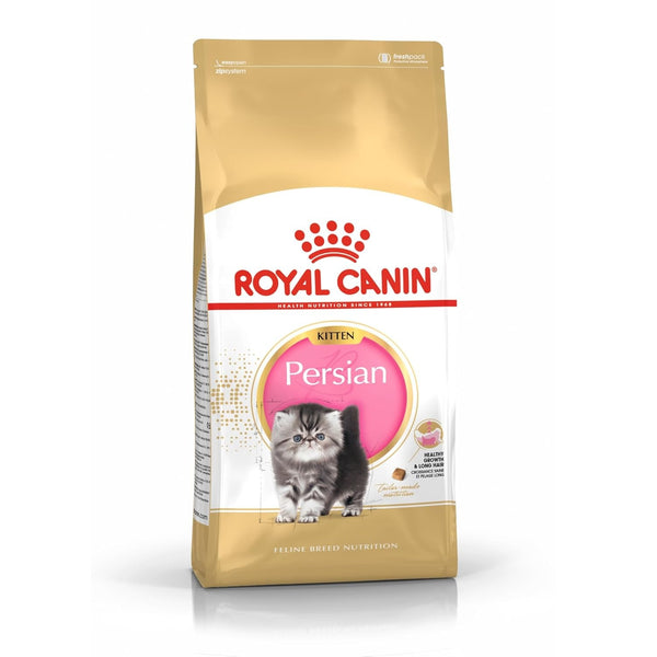 Royal Canin Persian Kitten