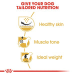 Load image into Gallery viewer, Royal Canin Pug Adult