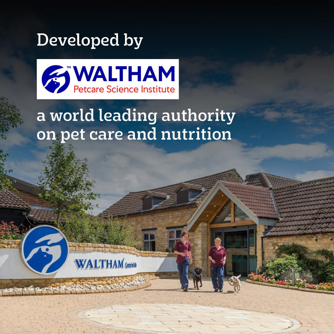 Pedigree Puppy Large Breed