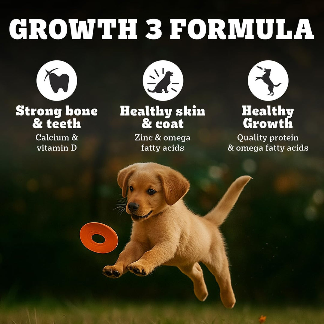 Pedigree Puppy Large Breed