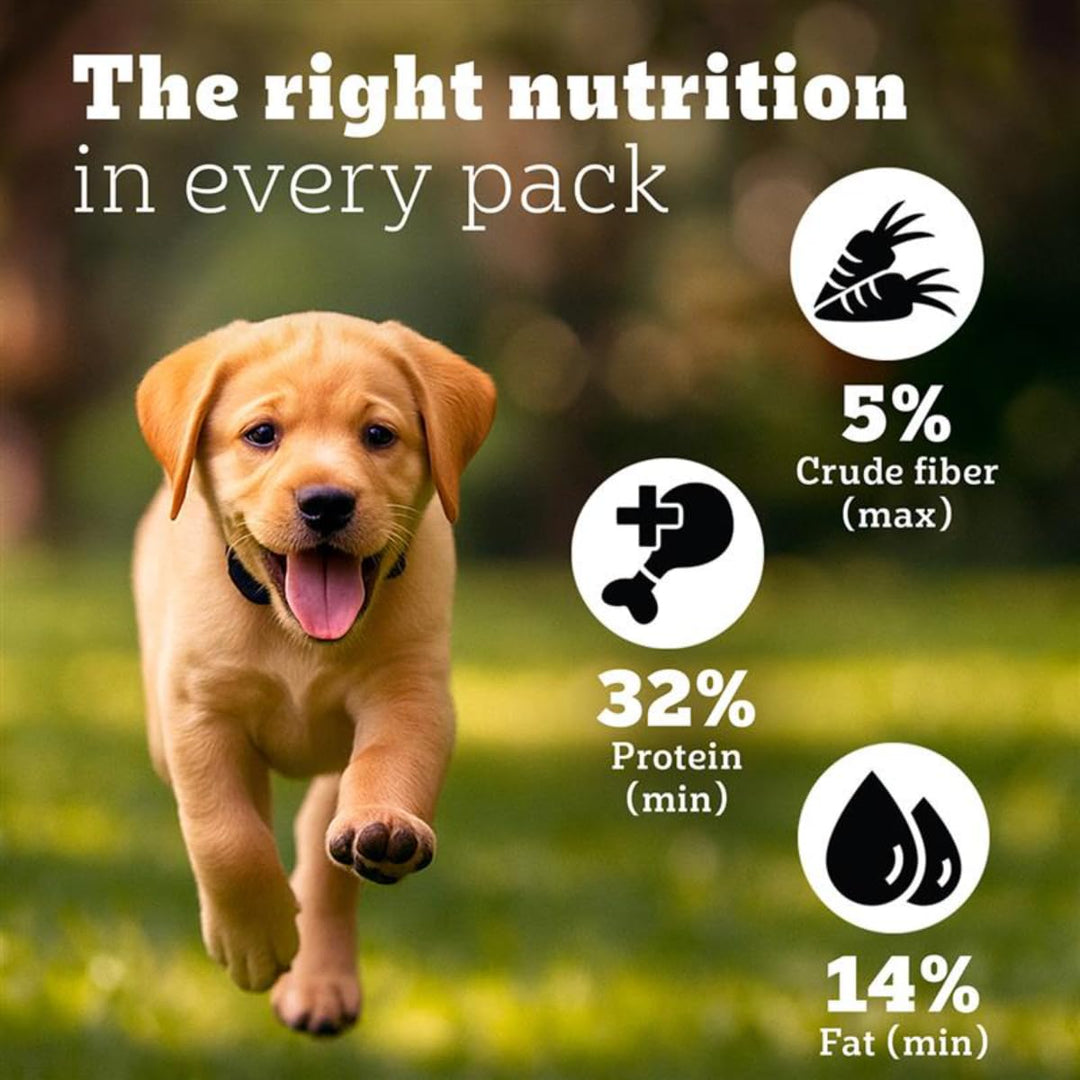 Pedigree Puppy Large Breed