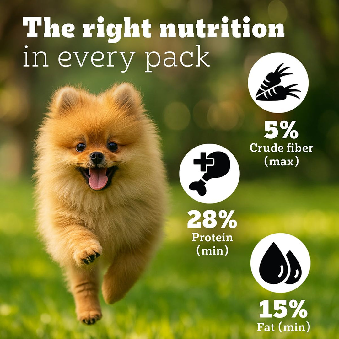 Pedigree PRO Expert Nutrition Small Breed Puppy (2 to 9 Months) Dry Food - 3Kg