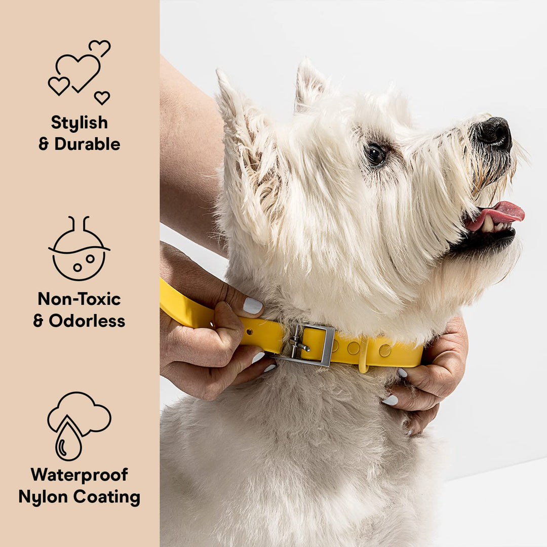Holy Paws Waterproof PVC Dog Collar – Odor-Proof, Heavy-Duty Adjusting Buckle