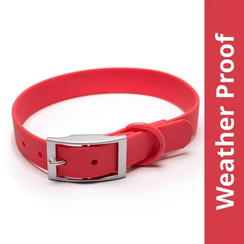 Holy Paws Waterproof PVC Dog Collar – Odor-Proof, Heavy-Duty Adjusting Buckle