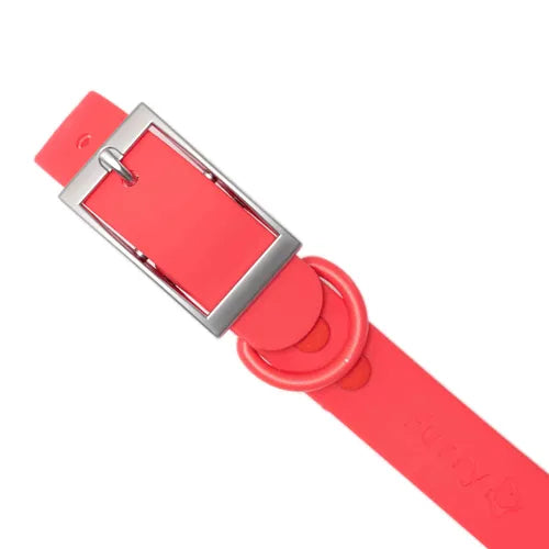 Holy Paws Waterproof PVC Dog Collar – Odor-Proof, Heavy-Duty Adjusting Buckle