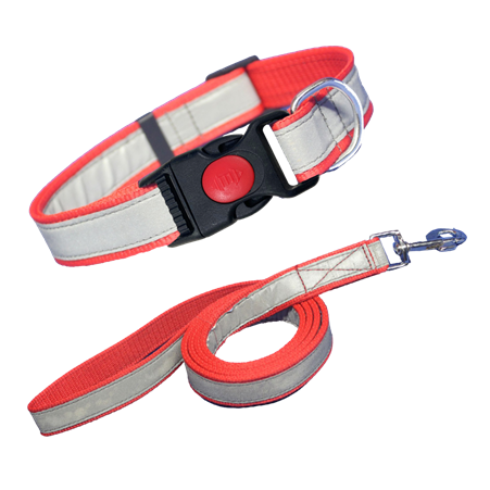 High-Visibility Reflective Dog Collar and Leash Set | Heavy-Duty Nylon