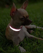 Load image into Gallery viewer, High-Visibility Reflective Dog Collar and Leash Set | Heavy-Duty Nylon