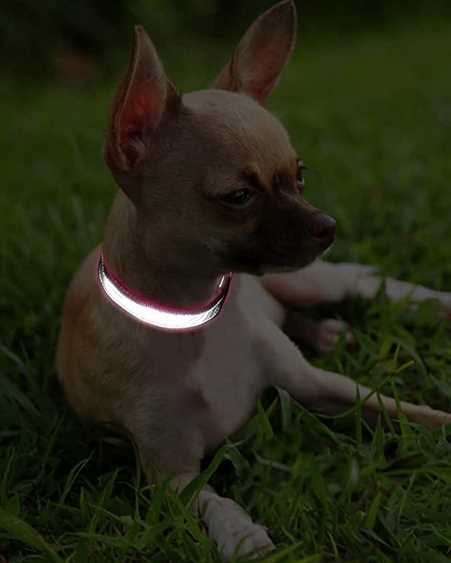 High-Visibility Reflective Dog Collar and Leash Set | Heavy-Duty Nylon