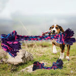 Load image into Gallery viewer, SmartyPet Durable Cotton 2-Knot Dog Rope Toy(Color May Vary)